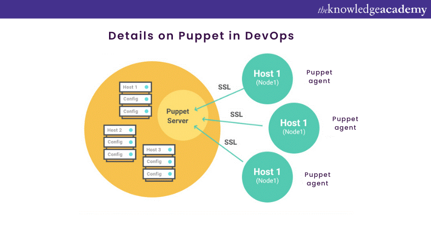 chef-vs-puppet-vs-ansible-choosing-the-right-tool